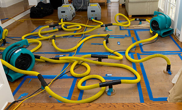 Professional Flood Damage Restoration technician working in Diamond, MO